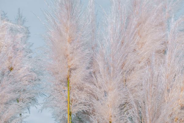 Praktyczne i stylowe: dodatki do domu, które podkreślą styl Boho