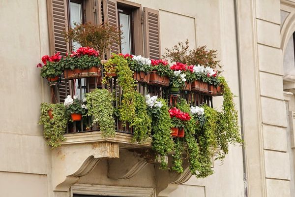 Oaza dla ptaków na twoim balkonie - pomysły na aranżacje